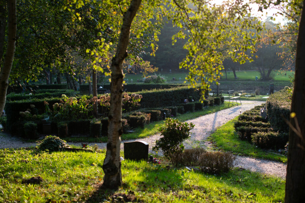 Urnengraven op Westerveld op een prachtige plek in het gedenkpark