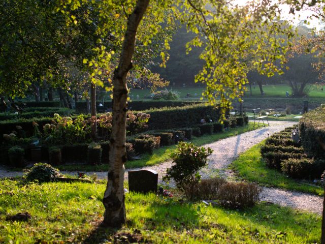 Urnengraven op Westerveld op een prachtige plek in het gedenkpark